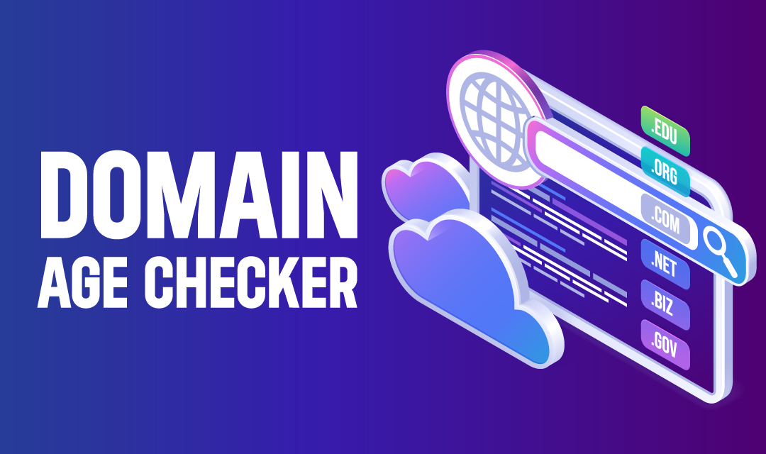 Domain Age Checker